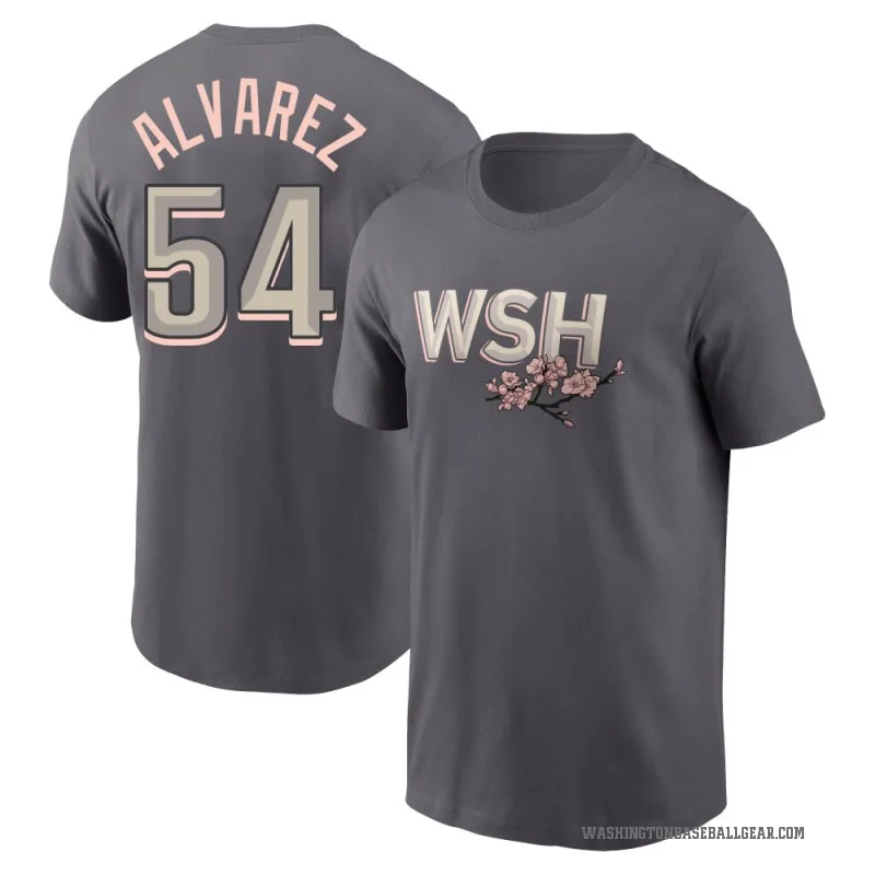 Andrew Alvarez Youth Gray Washington Nationals 2022 City Connect T-Shirt