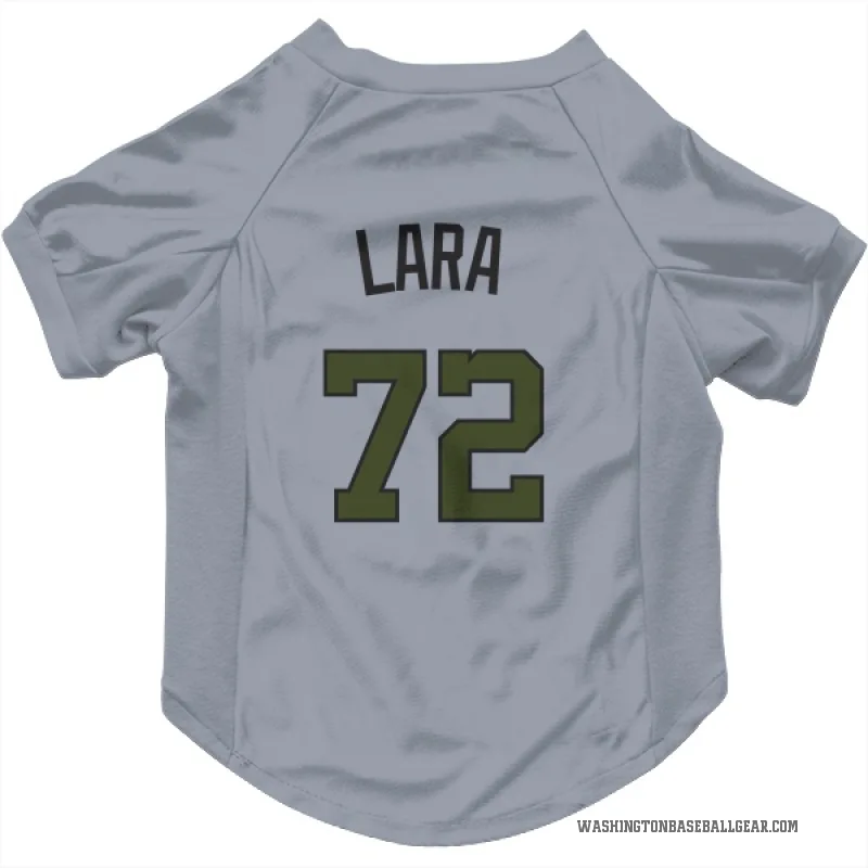 Andry Lara  Gray Washington Nationals  Cat & Dog Pet Jersey