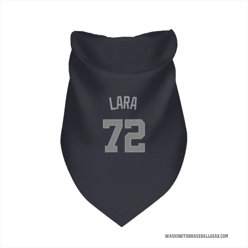 Andry Lara  Gray Washington Nationals   Navy  Cat & Dog Pet Bandana