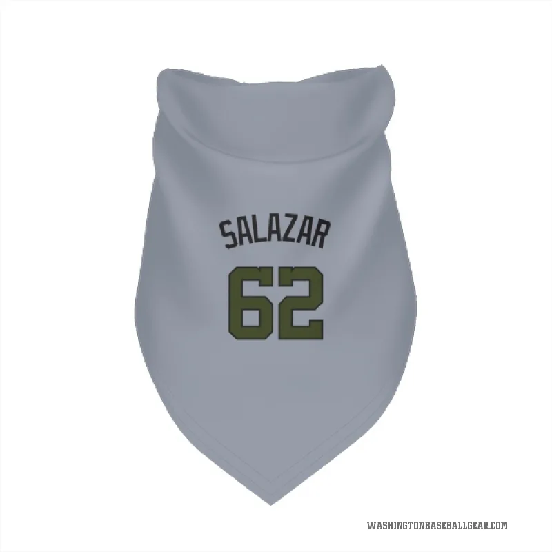 Eduardo Salazar  Gray Washington Nationals  Cat & Dog Pet Bandana