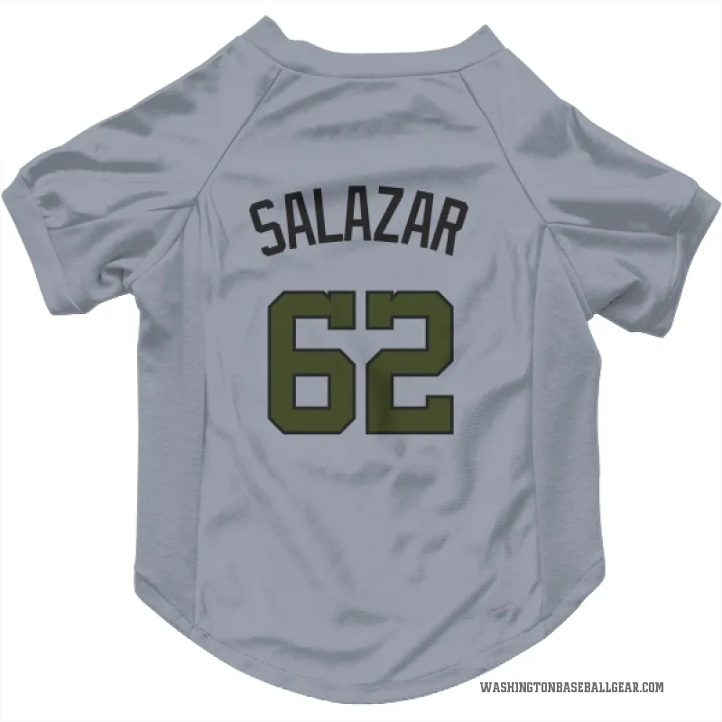 Eduardo Salazar  Gray Washington Nationals  Cat & Dog Pet Jersey