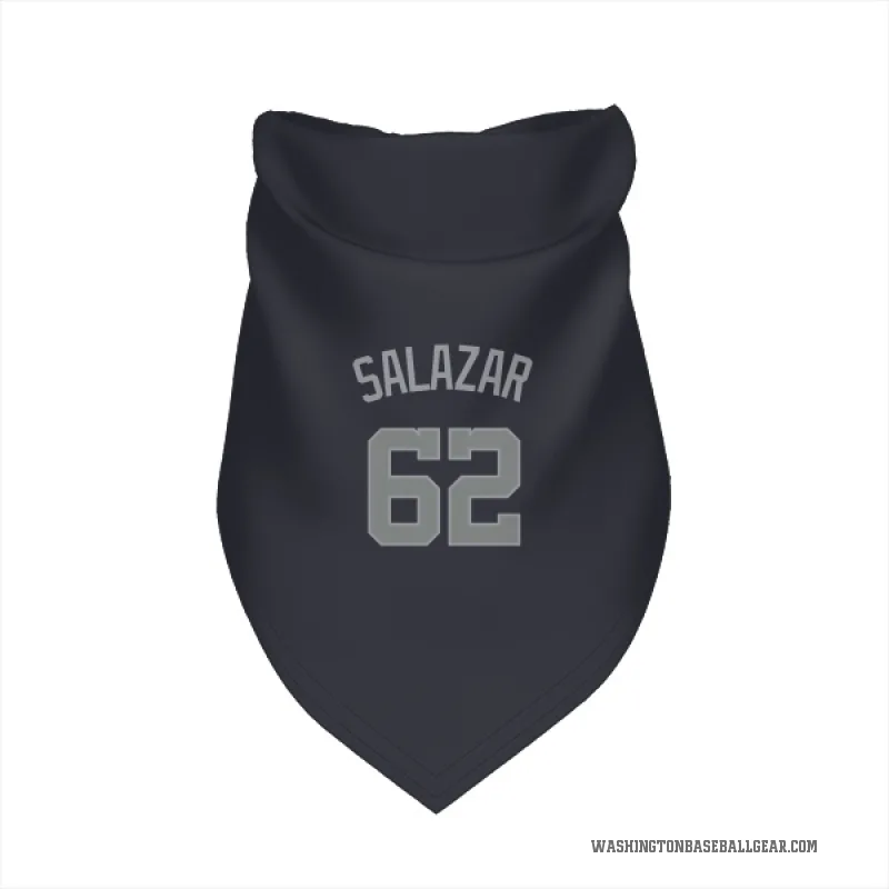 Eduardo Salazar  Gray Washington Nationals   Navy  Cat & Dog Pet Bandana