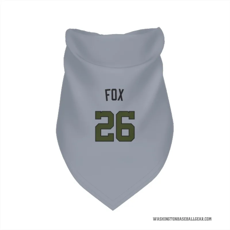 Lucius Fox  Gray Washington Nationals  Cat & Dog Pet Bandana