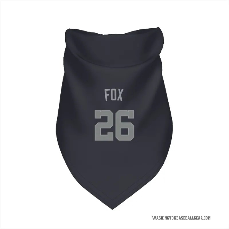 Lucius Fox  Gray Washington Nationals   Navy  Cat & Dog Pet Bandana