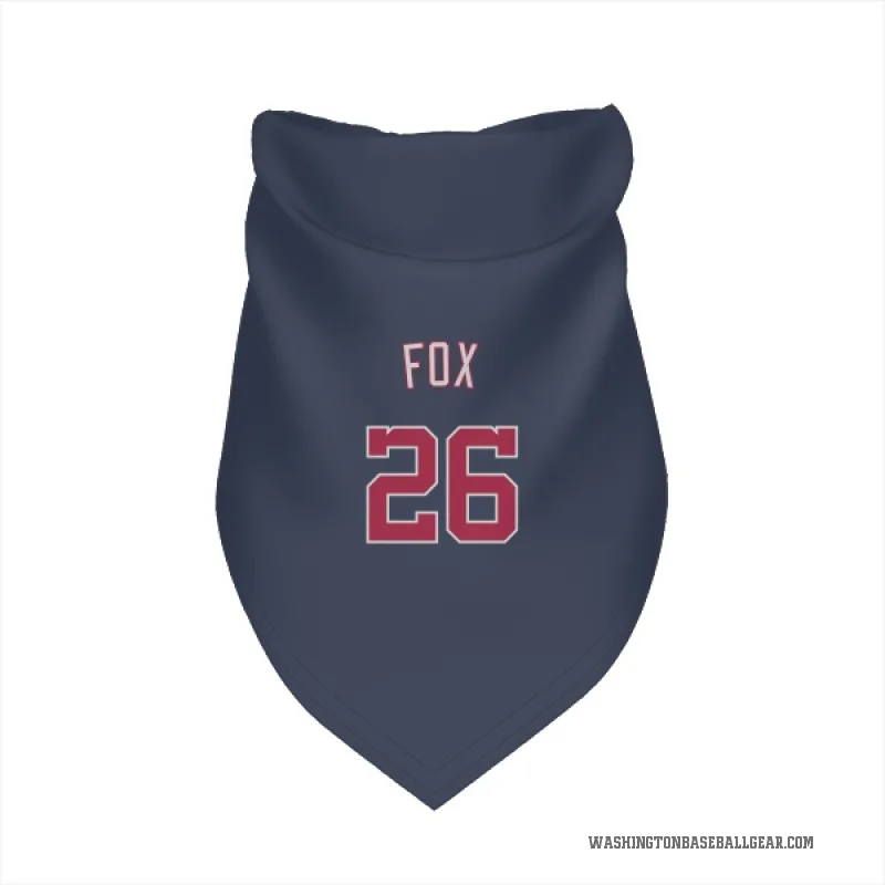 Lucius Fox  Navy Washington Nationals  Cat & Dog Pet Bandana
