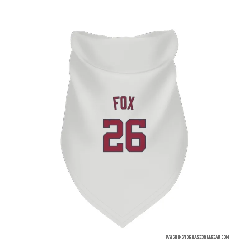 Lucius Fox  White Washington Nationals  Cat & Dog Pet Bandana