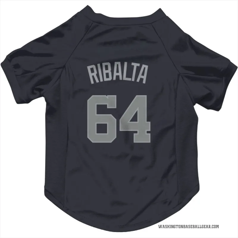Orlando Ribalta  Gray Washington Nationals   Navy  Cat & Dog Pet Jersey