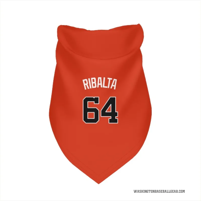 Orlando Ribalta  Orange Washington Nationals  Cat & Dog Pet Bandana