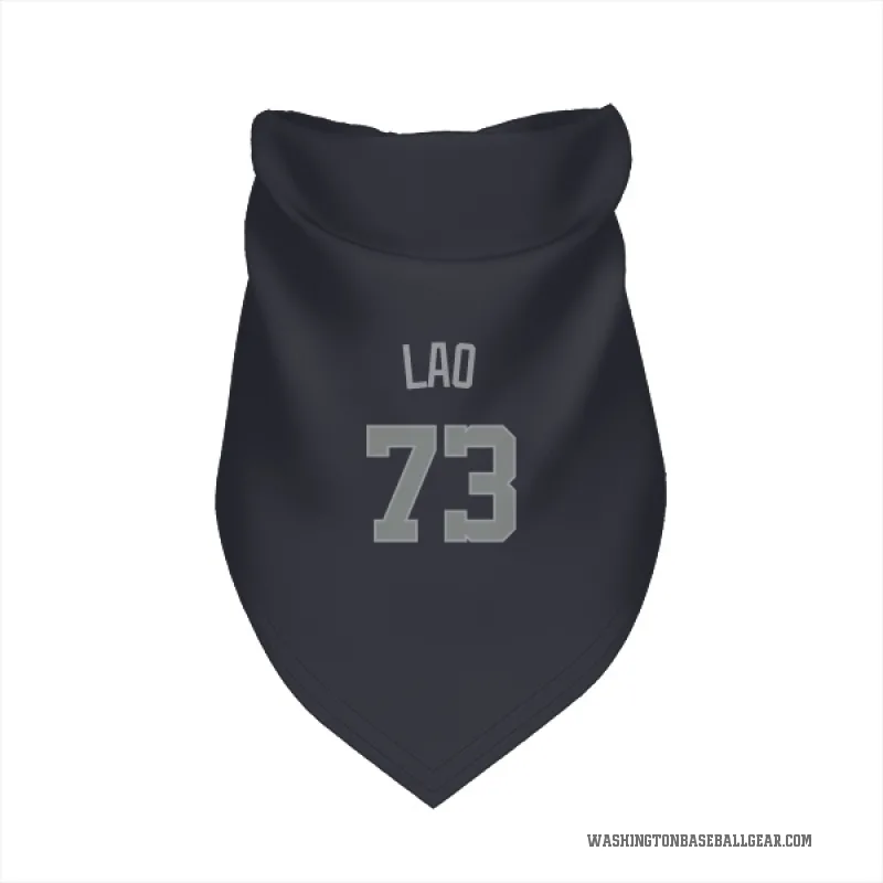 Sauryn Lao  Gray Washington Nationals   Navy  Cat & Dog Pet Bandana