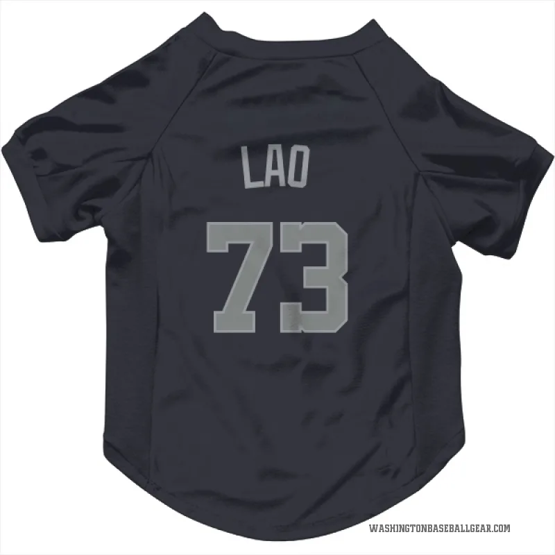 Sauryn Lao  Gray Washington Nationals   Navy  Cat & Dog Pet Jersey