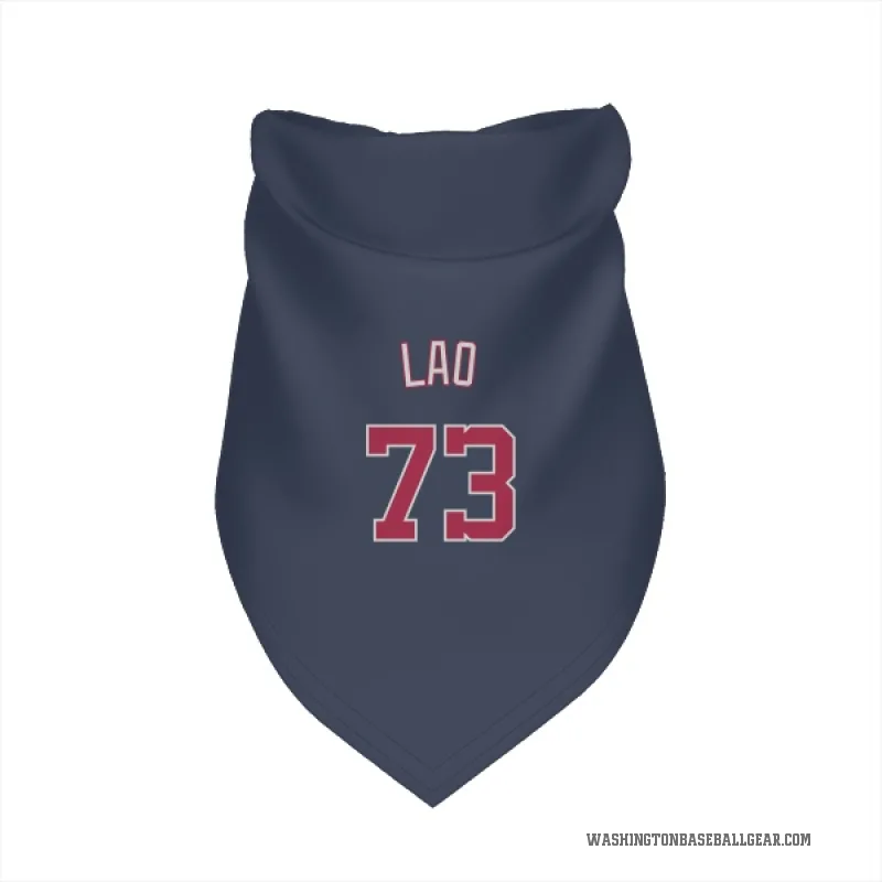 Sauryn Lao  Navy Washington Nationals  Cat & Dog Pet Bandana