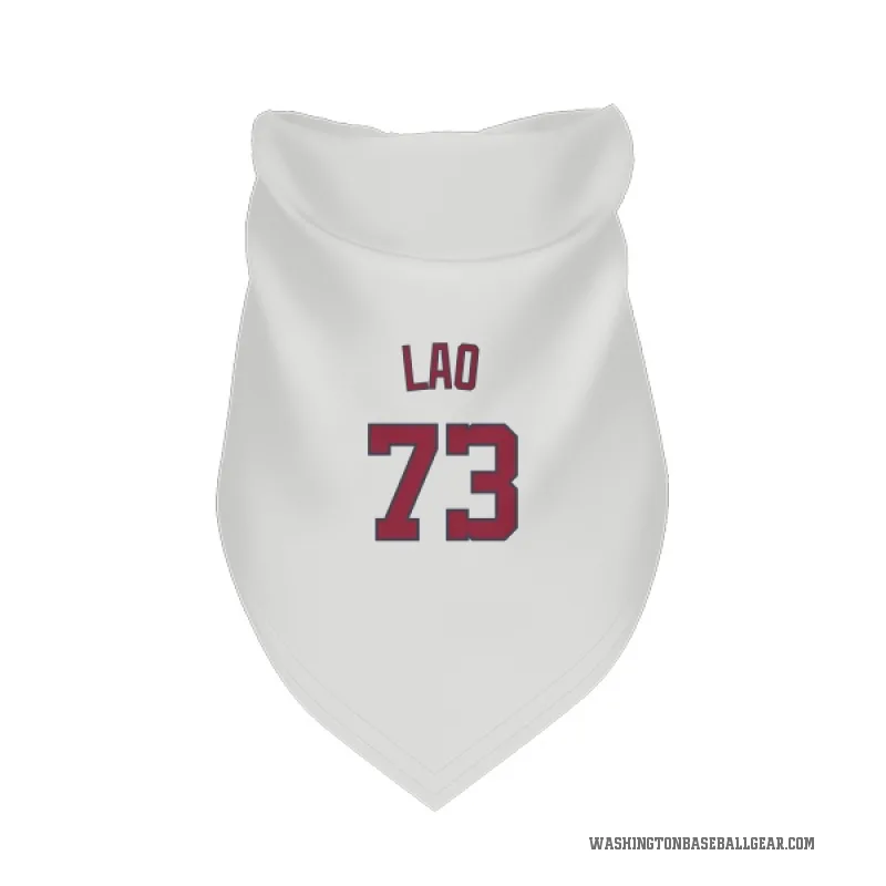 Sauryn Lao  White Washington Nationals  Cat & Dog Pet Bandana